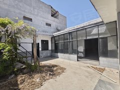 临沂兰山通达路真实图片 市区大院子 独门独院 大开间 适合各类工作室出租房源真实图片