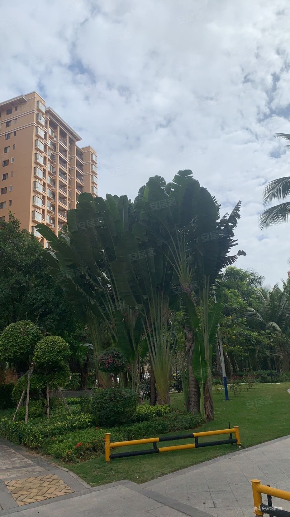 来电价格可谈陵水天赐南湾了解新房可来电咨询