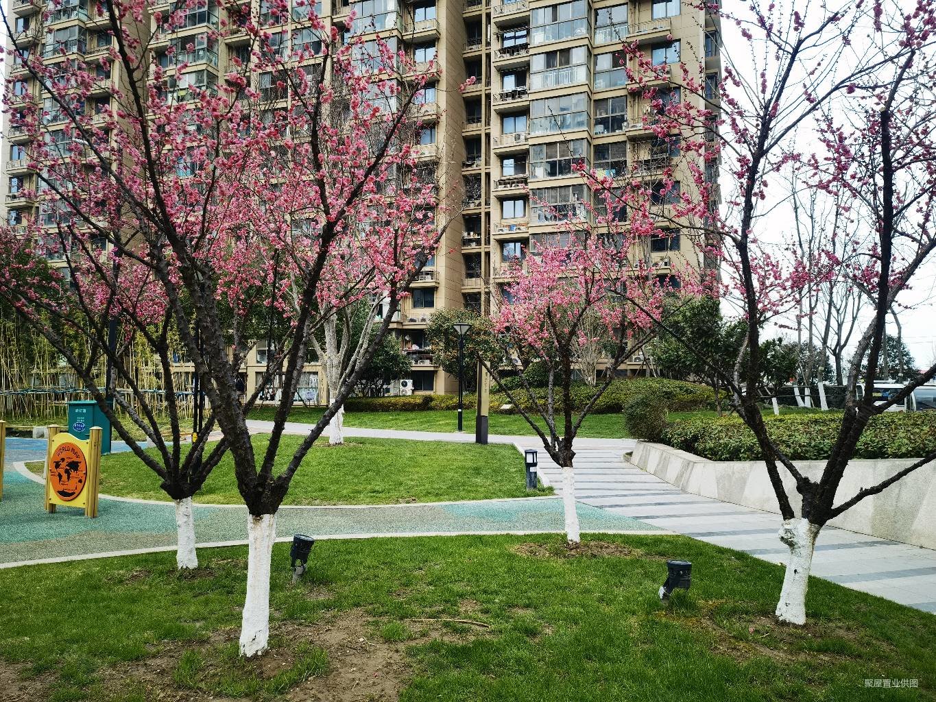 洲岛家园绿洲苑