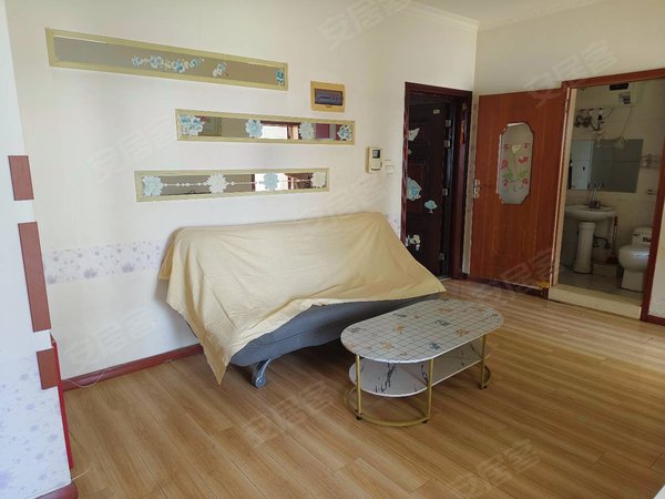 大连开发区快轨金马路新希望家园急租，新希望家园，两室南向拎包即住，全天采光，看房有钥匙出租房源真实图片