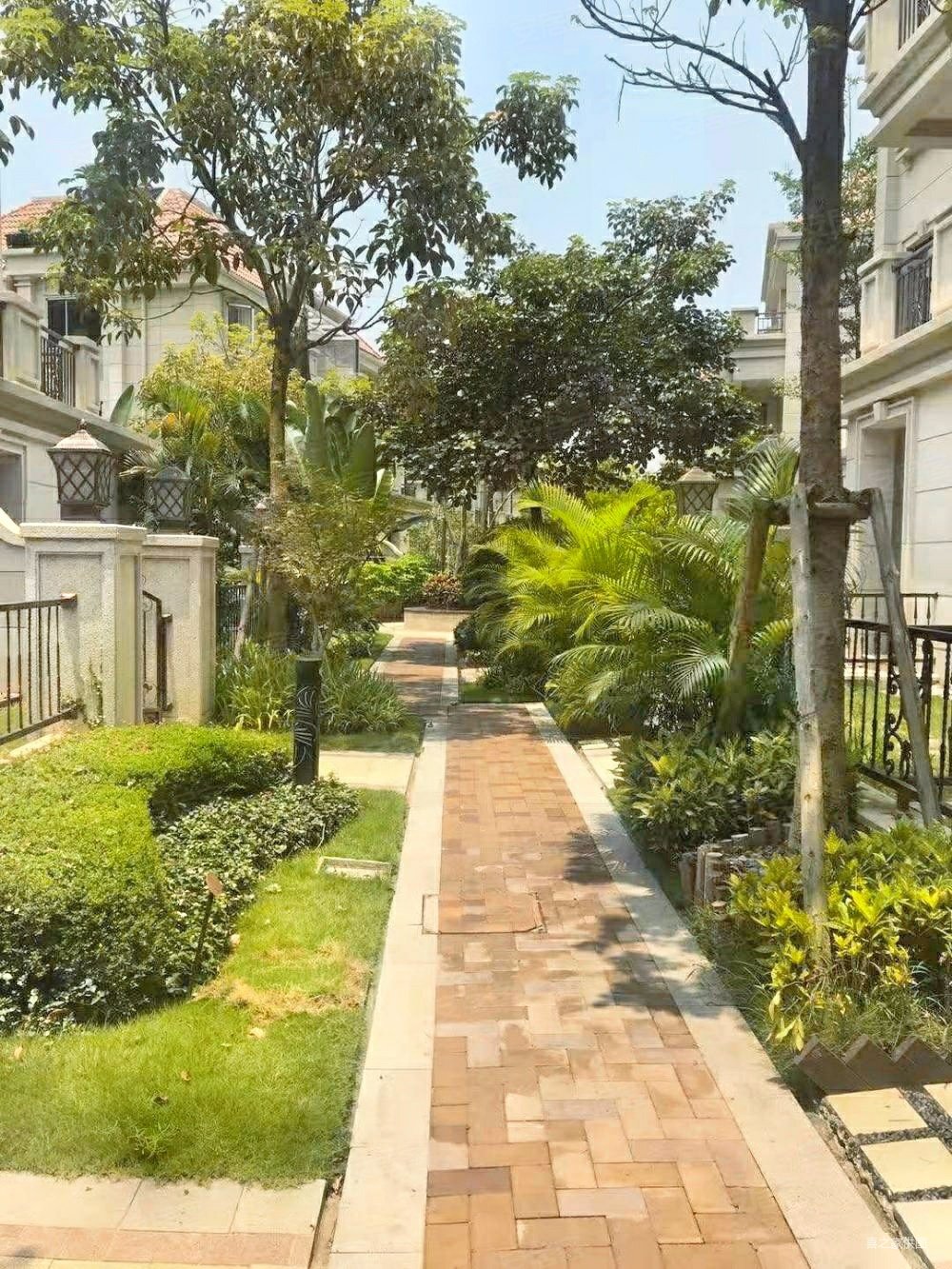 双拼 翔安隧道口有天有地大花园世茂御海墅品质高阶圈层,世茂御海墅二