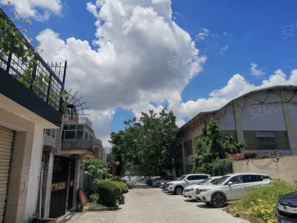 深圳布吉布吉街莲花山庄别墅毕业季 莲花山庄独栋别墅 上下四层办公