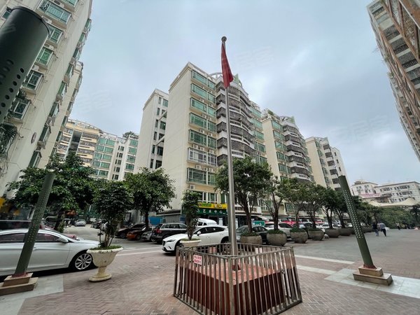 深圳南山西丽留仙居留仙居 电梯 两房一厅 温馨有家 看房随时出租房源