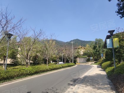 绿谷庄园(别墅)