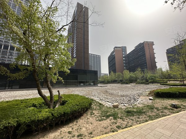 北京大兴亦庄国锐金嵿拒虚假亦庄 地标建筑  国锐金嵿 大平层  复式