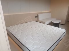 深圳龙华万众城低租金高品质,温馨小窝等你来!出租房源真实图片