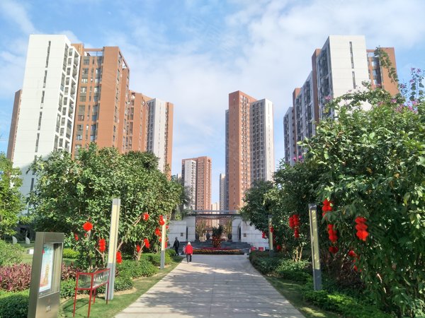 珠海斗门白蕉万科魅力之城自住房 第一次出租 看房方便 南向 高层出租