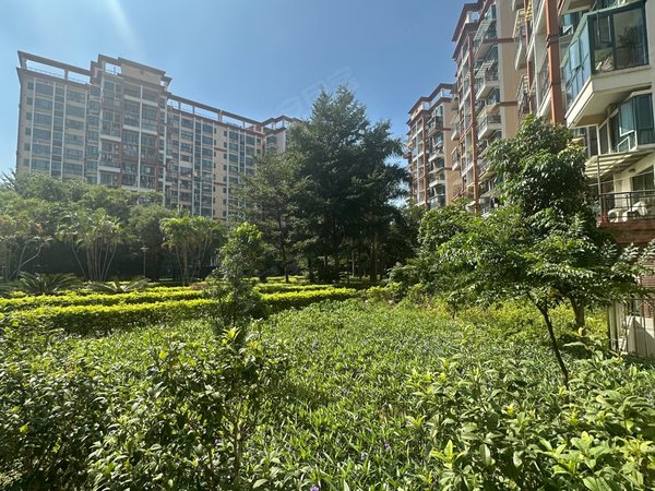 深圳宝安福永金域豪庭(二期)福永双地铁口小区,金域豪庭大三房,看房