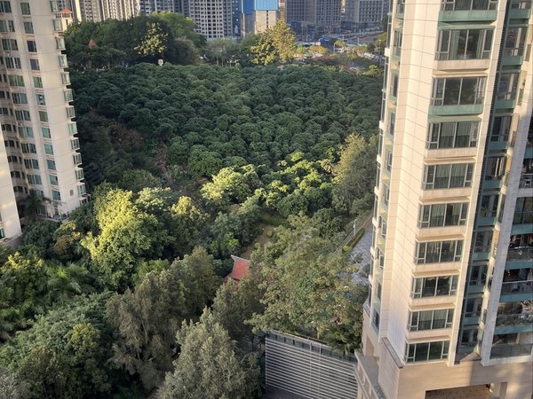 深圳布吉信义信义荔山公馆荔山公馆物业直租,中芥费仅收百分之二十五