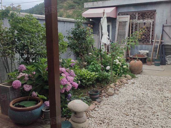 崂山北宅街道北宅科村古色古香平房出租,古朴花式小院,崂山租房-青岛