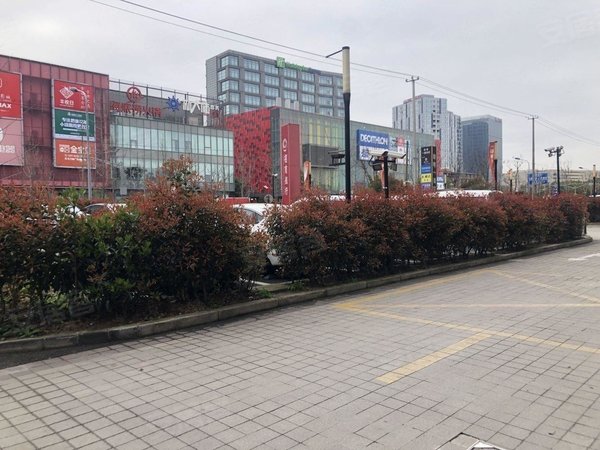 上海浦东唐镇星纪元近二号线 复式精装一室一厅 恒生万鹂广场 密码锁