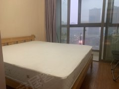 房东出租免中介，杜绝虚假，杭州湾新区精装修梦想公寓