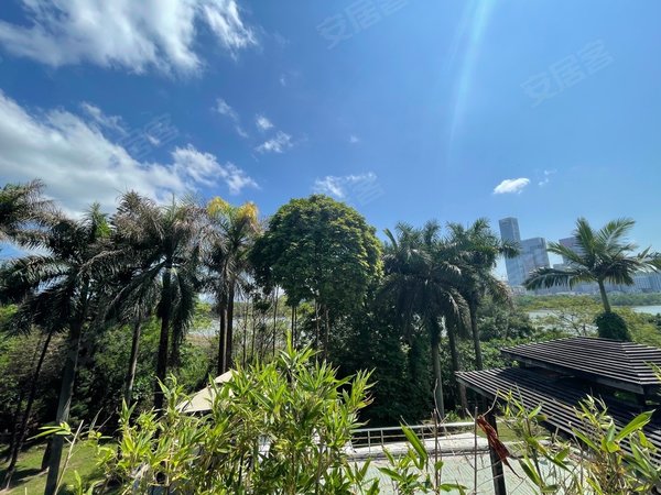 深圳南山华侨城东方花园(别墅)东方花园别墅 私人会所办公住家均可