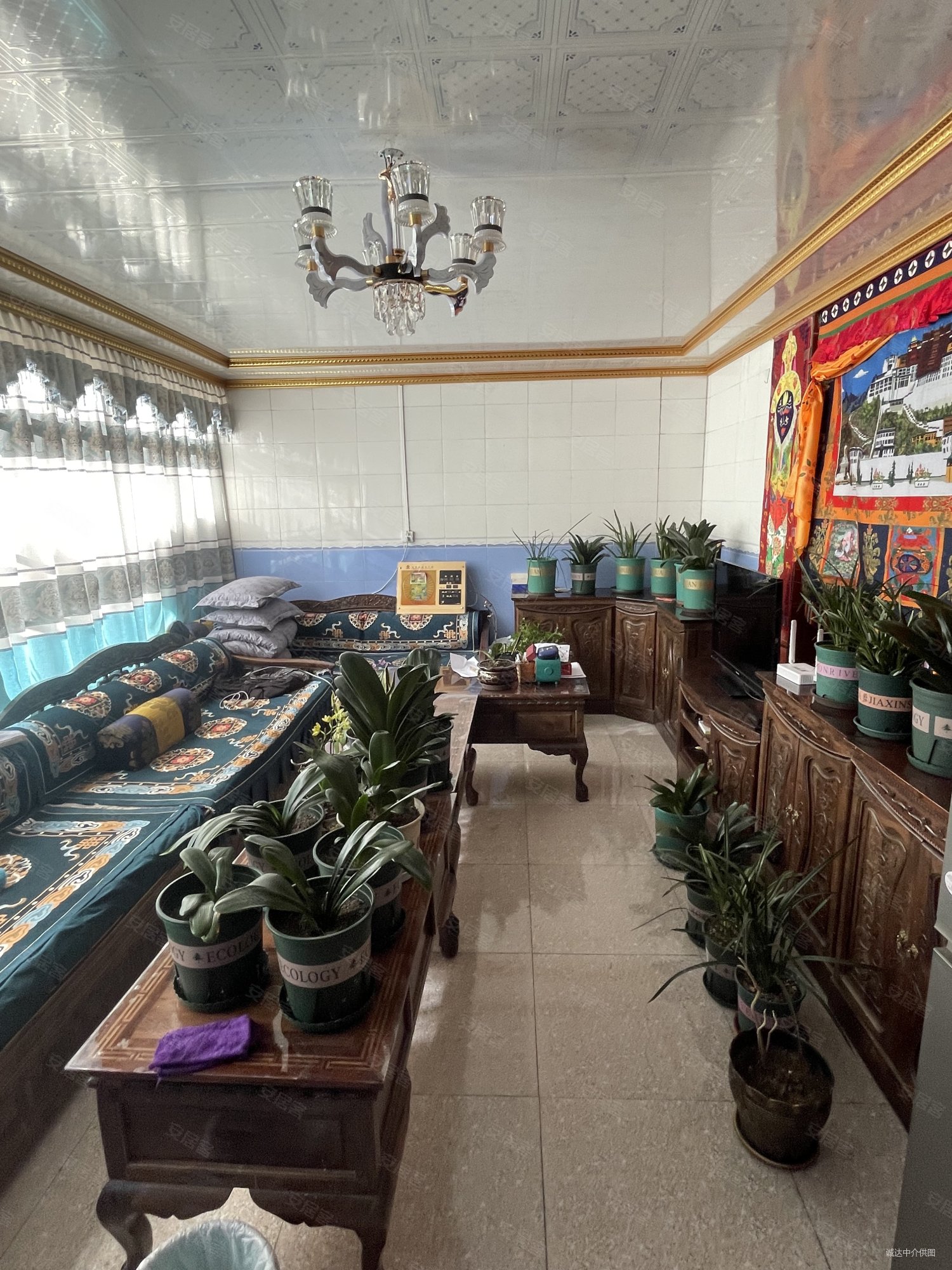 泽当社区4室1厅2卫260㎡南北135万