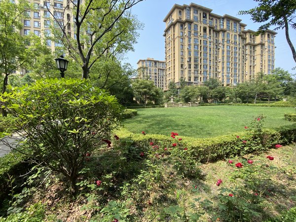 青岛李沧绿城绿城理想之城蓝岸南区丽达商场附近,精装修,全套家具家电