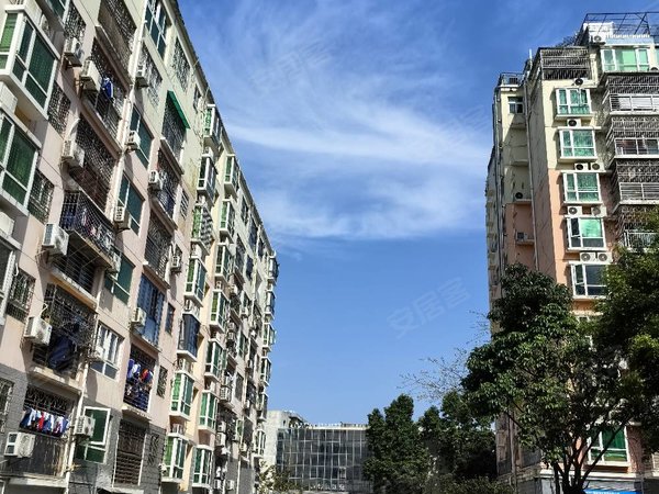 【多图】锦城星苑,龙岗中心城租房,龙岗新生 锦城星苑7房2厅3卫 办公