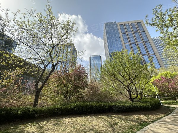 北京大兴亦庄林肯公园(b区)无虚假 林肯公园b区  小区 配置齐全 高层