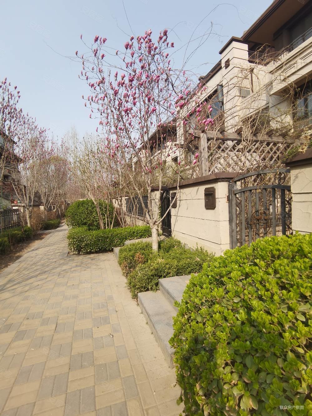 牛驼温泉孔雀城722期别墅