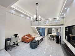 贵阳南明花果园花果园财富广场现代风简约loft复试公寓 配置齐全押一付一出租房源真实图片