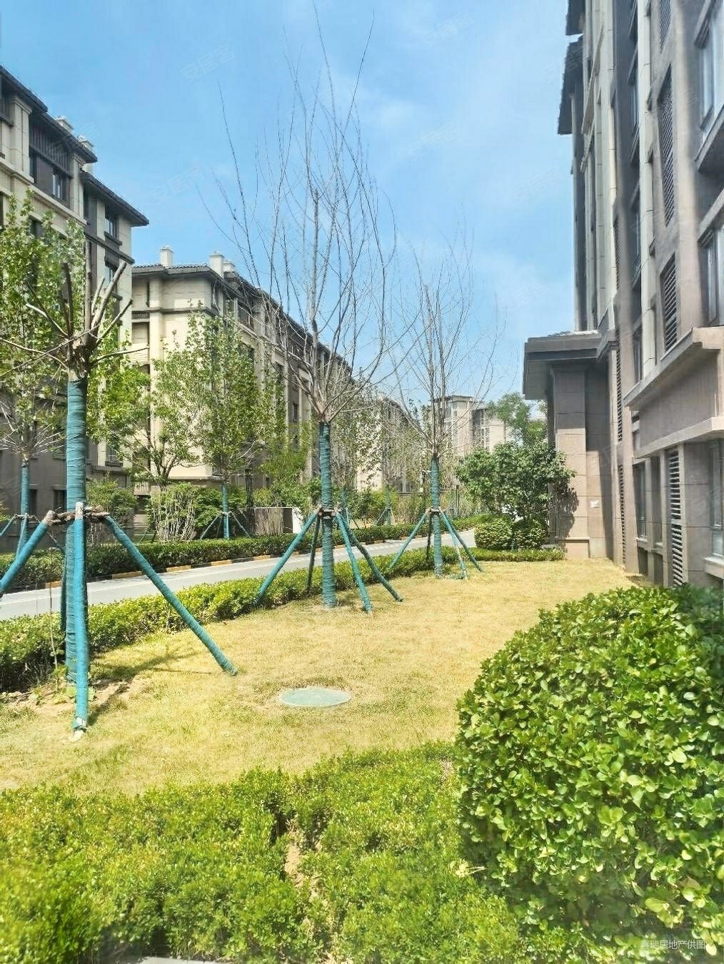 团泊中骏电梯洋房中间楼层 带地下车位随时看 可议,中骏云景台二手房