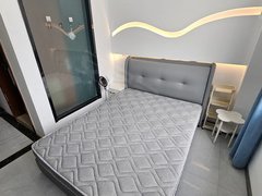 东台东台城区鼓楼路步行街步行街旁公寓 可押一付一拎包入住 电梯房位置方便 看房随时出租房源真实图片