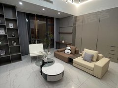 合肥政务天鹅湖本人真实实拍 自住豪华装修 万象城对面 近天鹅湖 新地中心出租房源真实图片