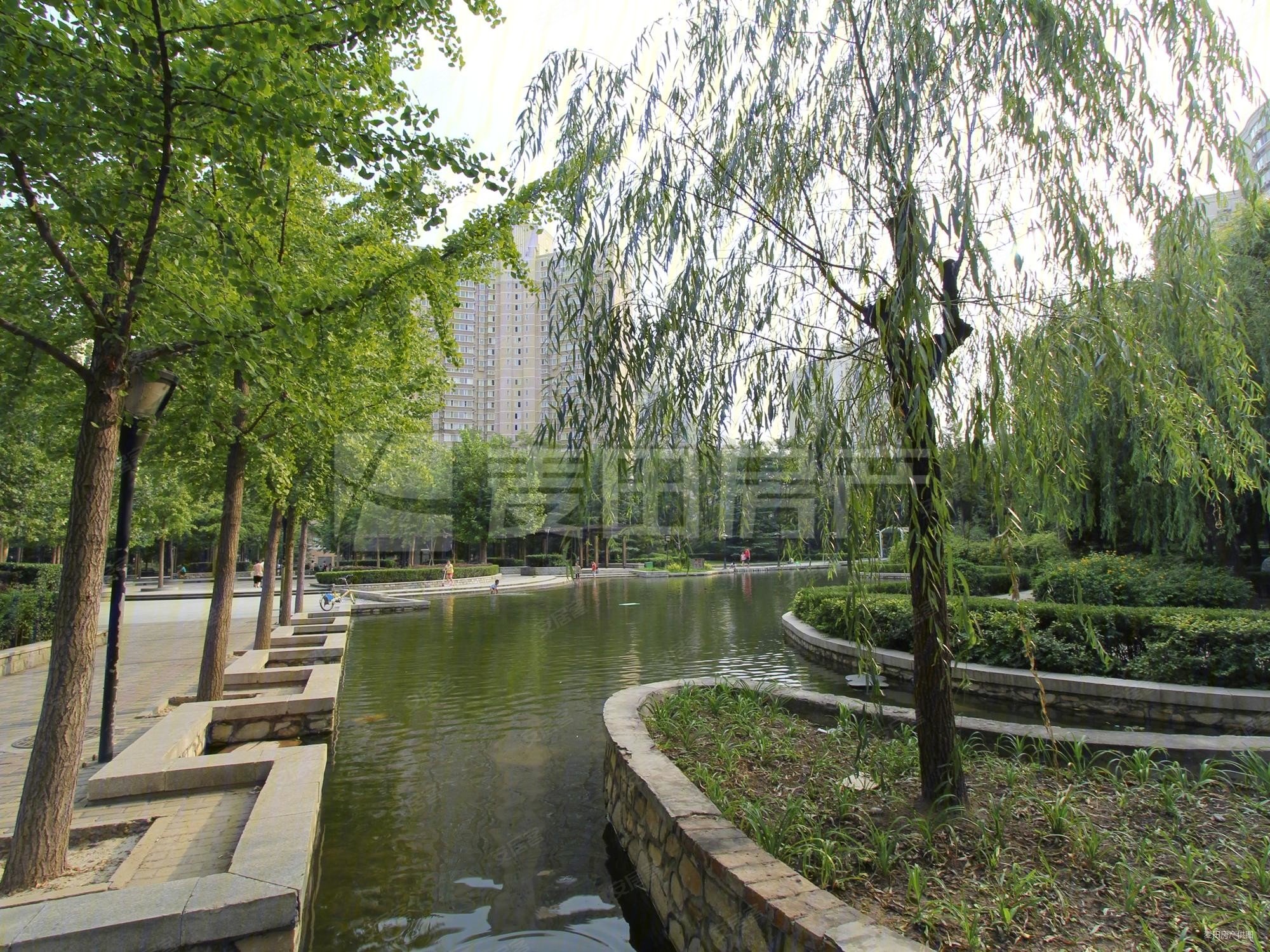 望京西园三区新出总高12层板楼2居室