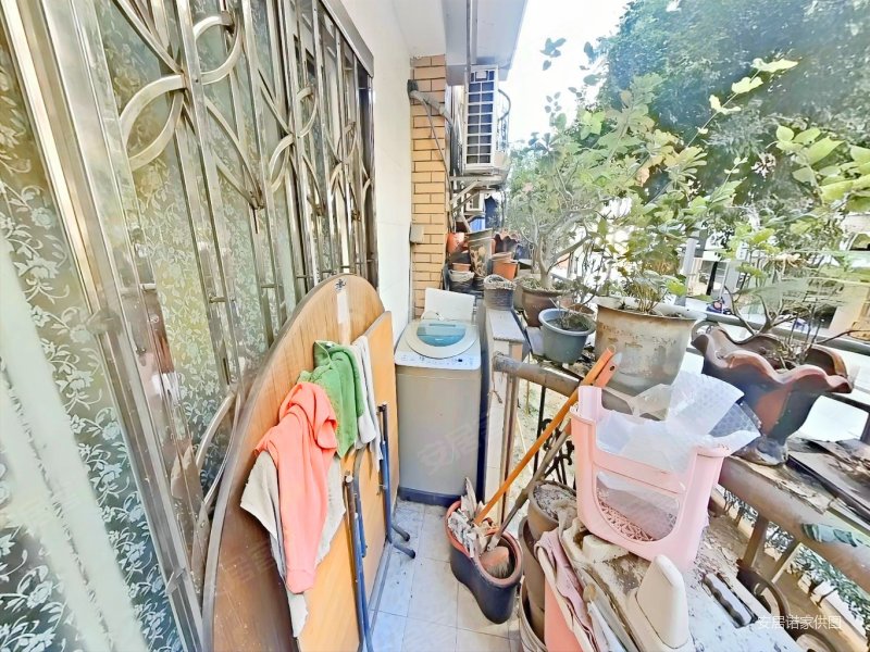 近地铁禾祥东万象城旁 示范盆景小区金庭花园 电梯南北全明3房