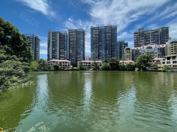 深圳南山华侨城波托菲诺纯水岸(七期)三面采光  高层看全湖景 3个大