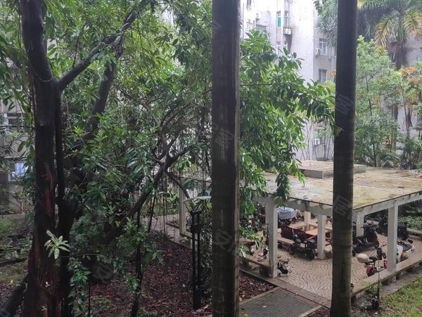 荔枝苑,步梯2楼,安静舒适2房,随时看房