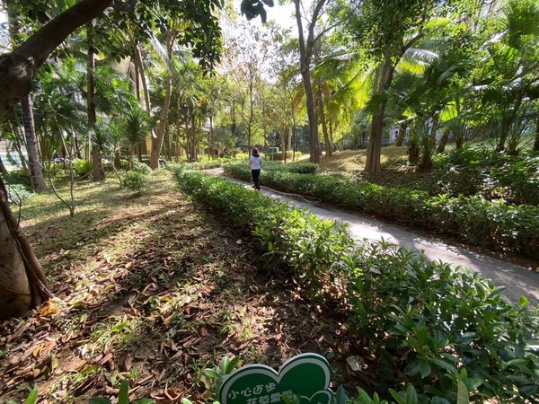 凤凰水城红树湾洋房3室2厅2卫干净整洁配套齐全出租房源真实图片