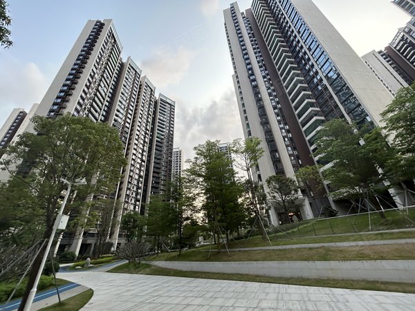 深圳宝安流塘尖岗山壹号花园实图拍摄 尖岗山新小区 电梯南北通 近