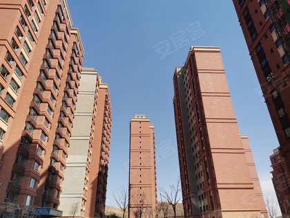 圣山国际