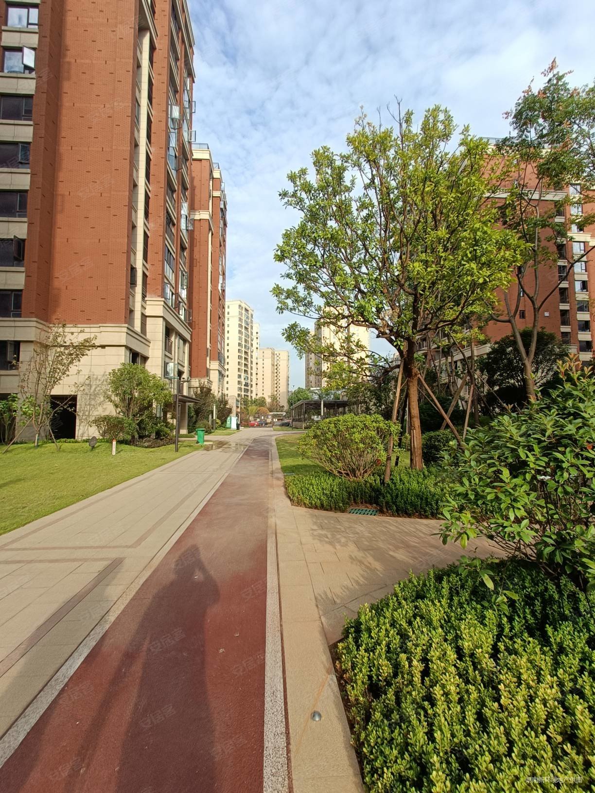 鑫远翡丽郡3室2厅2卫118.61㎡南北158万