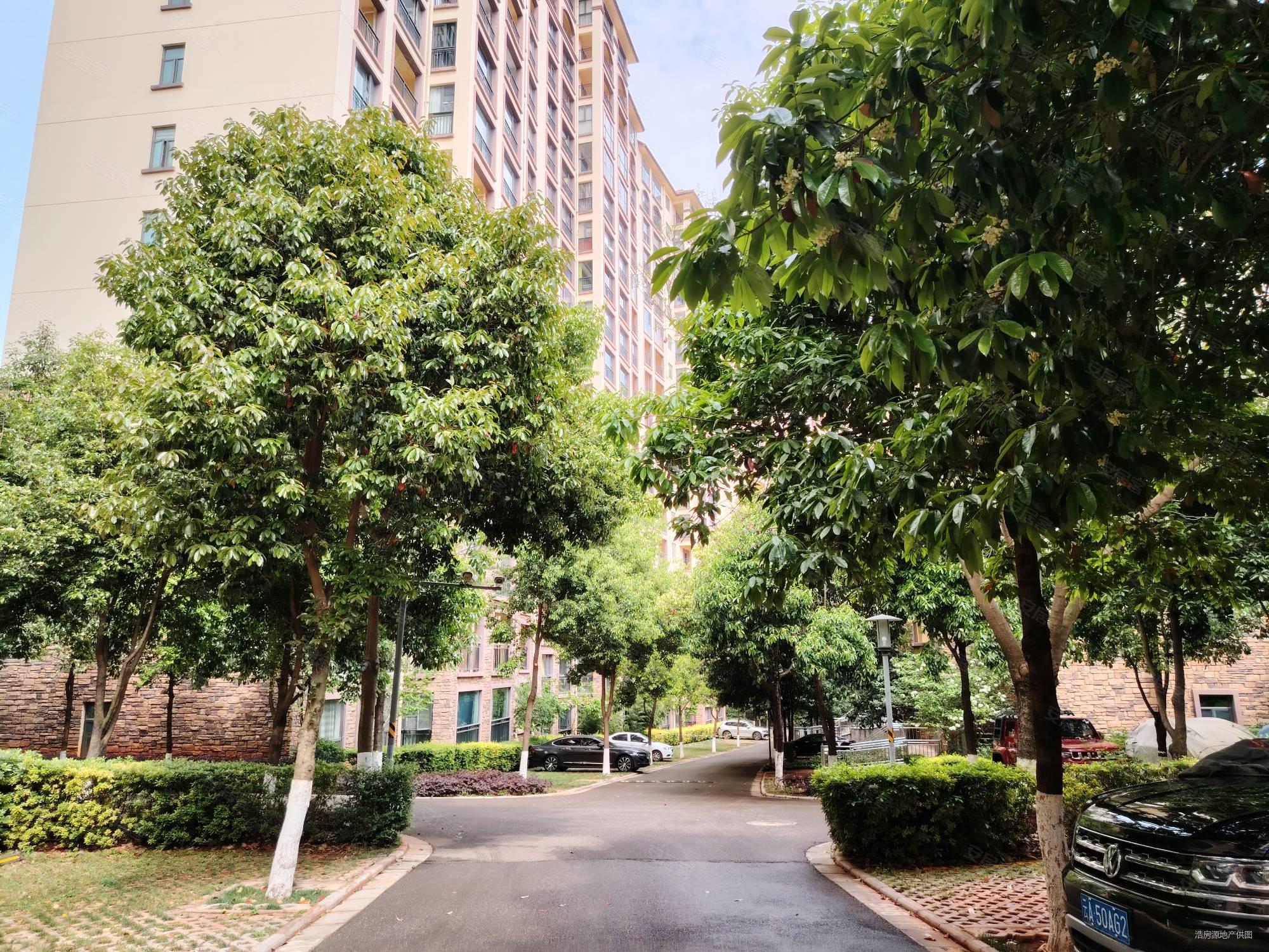 太平新城龙旺瑞城旁龙湾一号毛坯四房 板房南向采光好