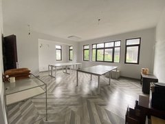 嘉兴海宁长安镇独栋别墅带车库前后花园 客厅大随时看房星星港湾出租房源真实图片