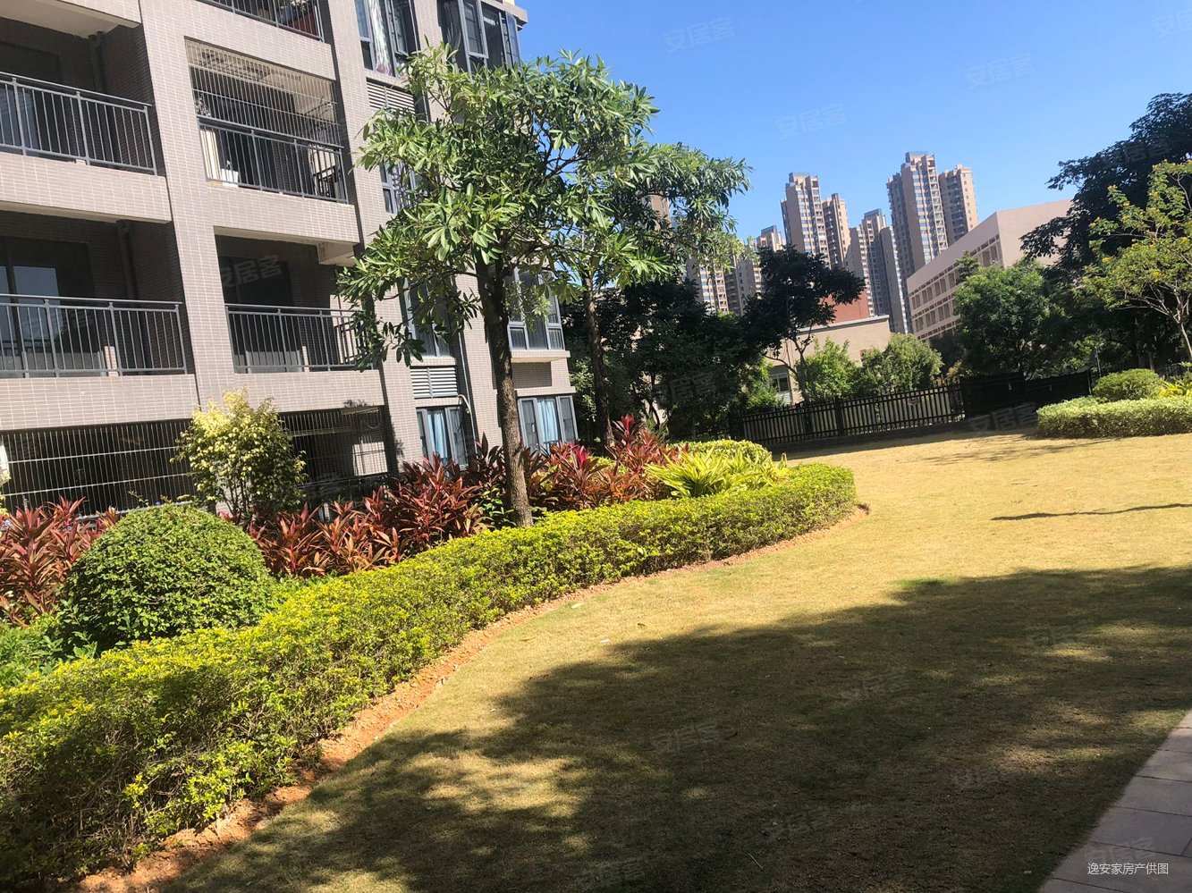 门口就是保华铂郡106拎包入住三房