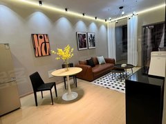 合肥新站火车站火车站附近鸭林冲地铁口七里香榭精装两室出租，多套可选押一付一出租房源真实图片