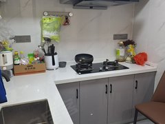 东台东台城区鼓楼路步行街红光新寓一室一厅现代精装1100月有钥匙随时可看出租房源真实图片