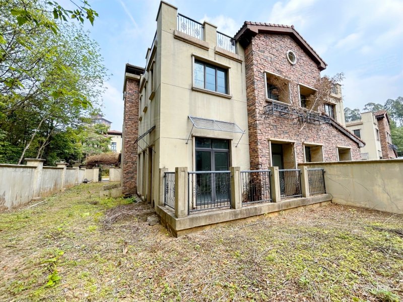 万科松山湖1号别墅