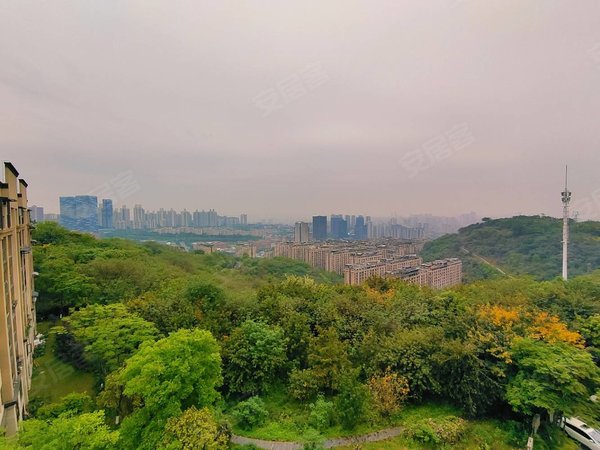 重庆渝北照母山万科御澜山照母山纯洋房社区 背靠公园   万科物业