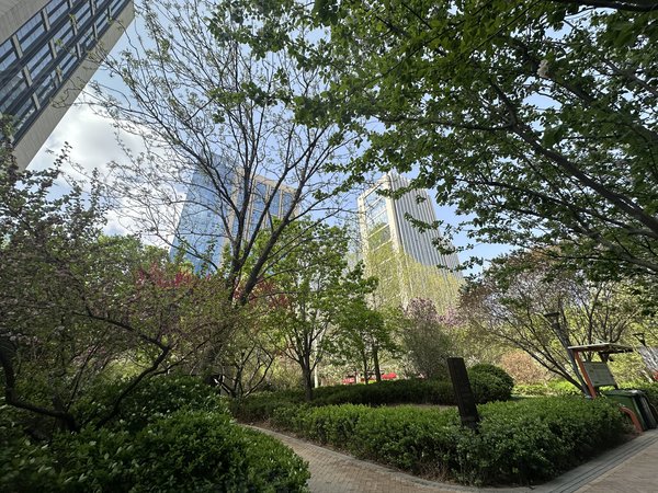 北京大兴亦庄林肯公园(b区)无虚假 林肯公园b区  小区 配置齐全 高层