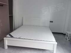 金华金东曹宅鸿泰豪苑一室一厅出租，二楼，1000一个月出租房源真实图片