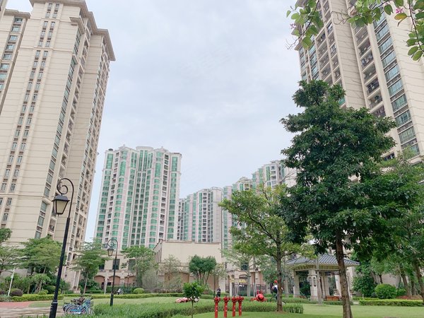 【多图】新月明珠花园,大石租房,大石地铁口 新月明珠 南向3房放租