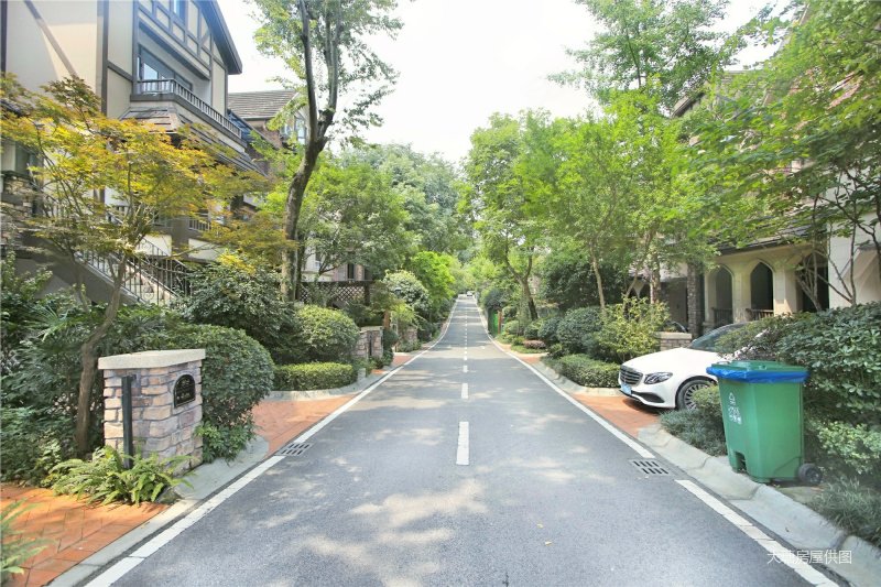 龙湖悠山郡 纯独栋别墅带车位 带大花园 采光好视野开阔!