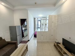 成都高新区大源高新区天府四街 银泰城民乐地铁口 水电气三通套一出租房源真实图片