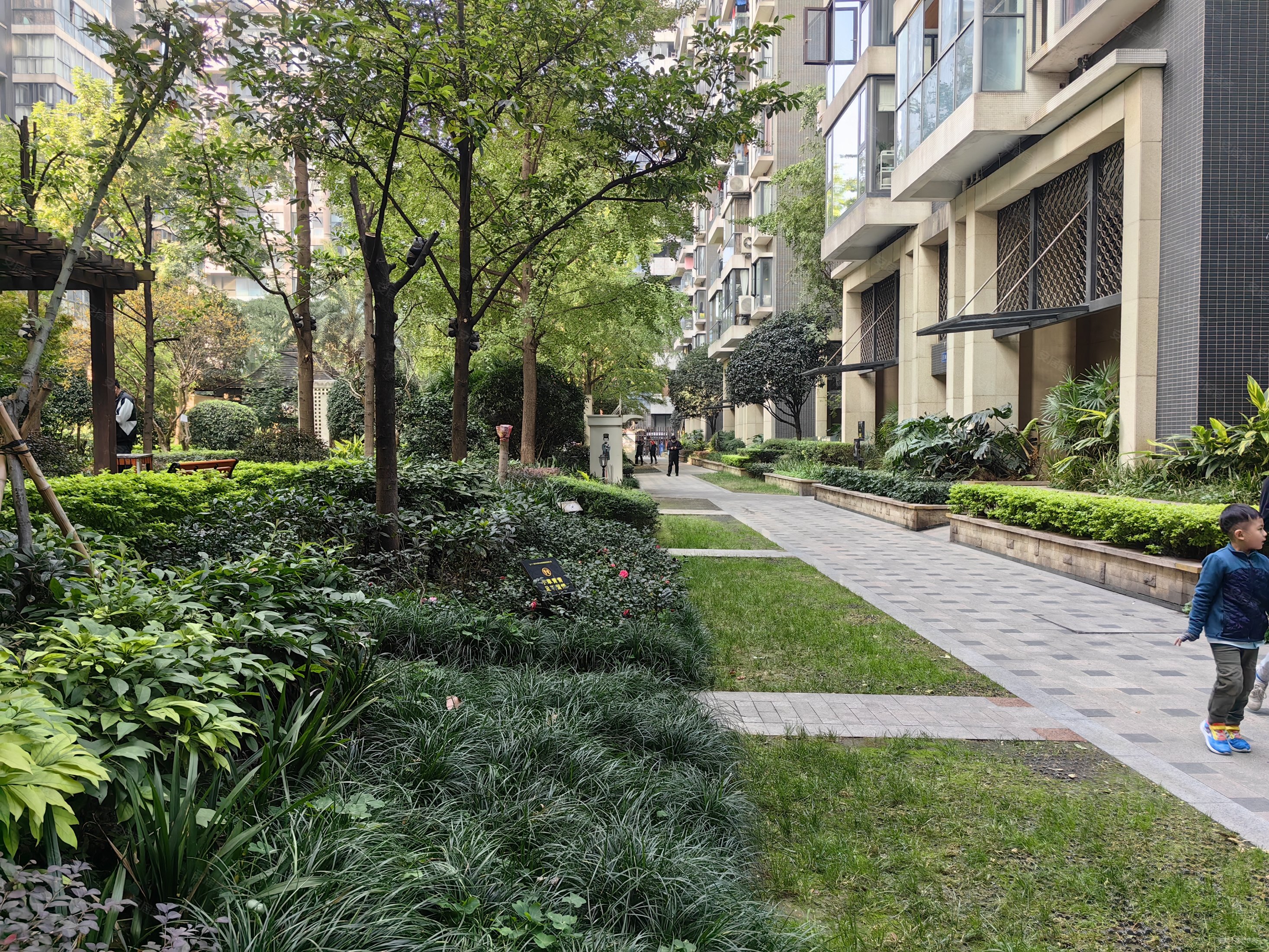 降价30万武侯区桐梓林观南上域三室两厅南北双阳台简单装修