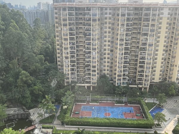 深圳布吉丹竹头英郡年华英郡年华居家大4房!