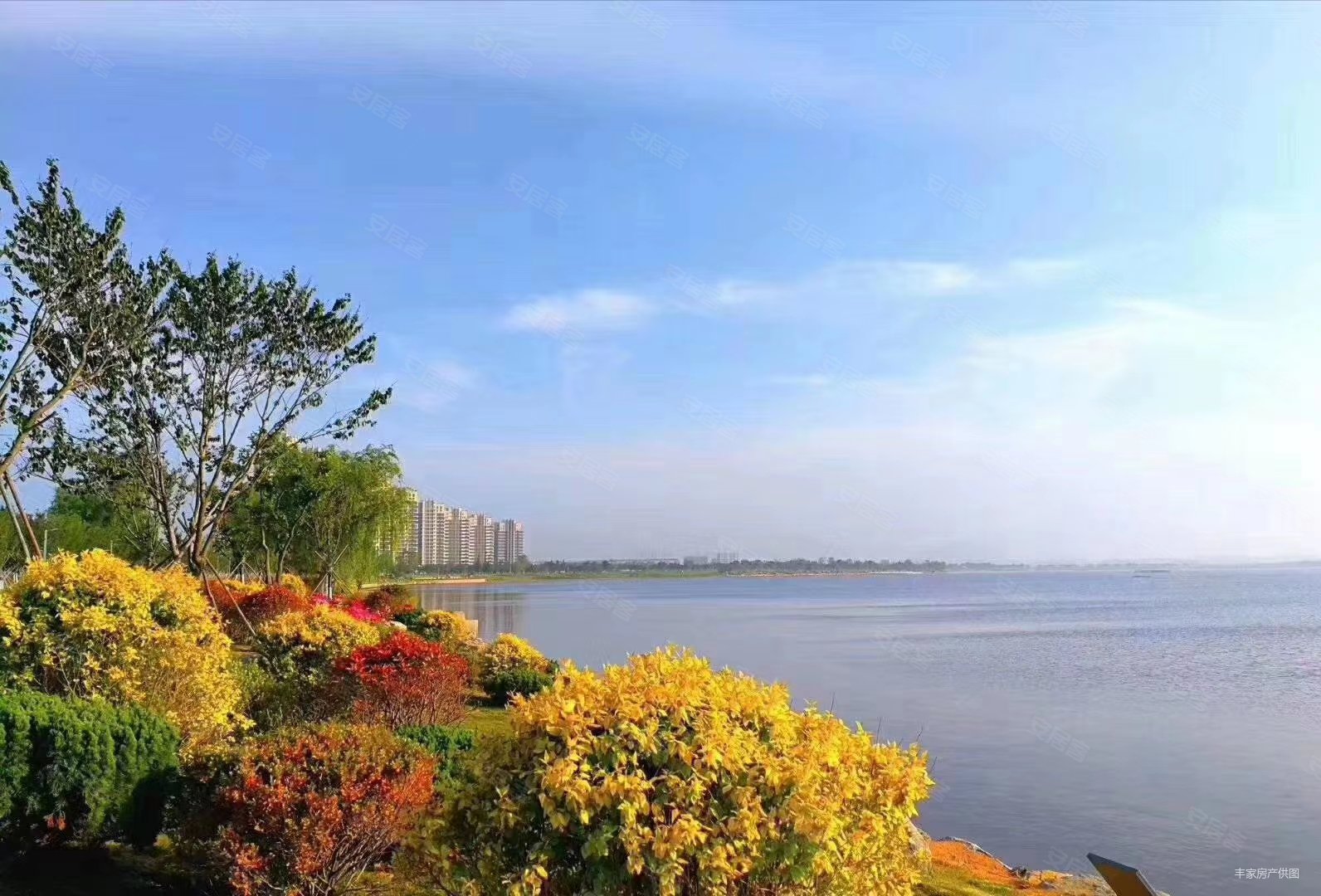 万亩黑松林,长青海世界(商住楼)二手房,66万,2室2厅,1卫,82平米-荣成