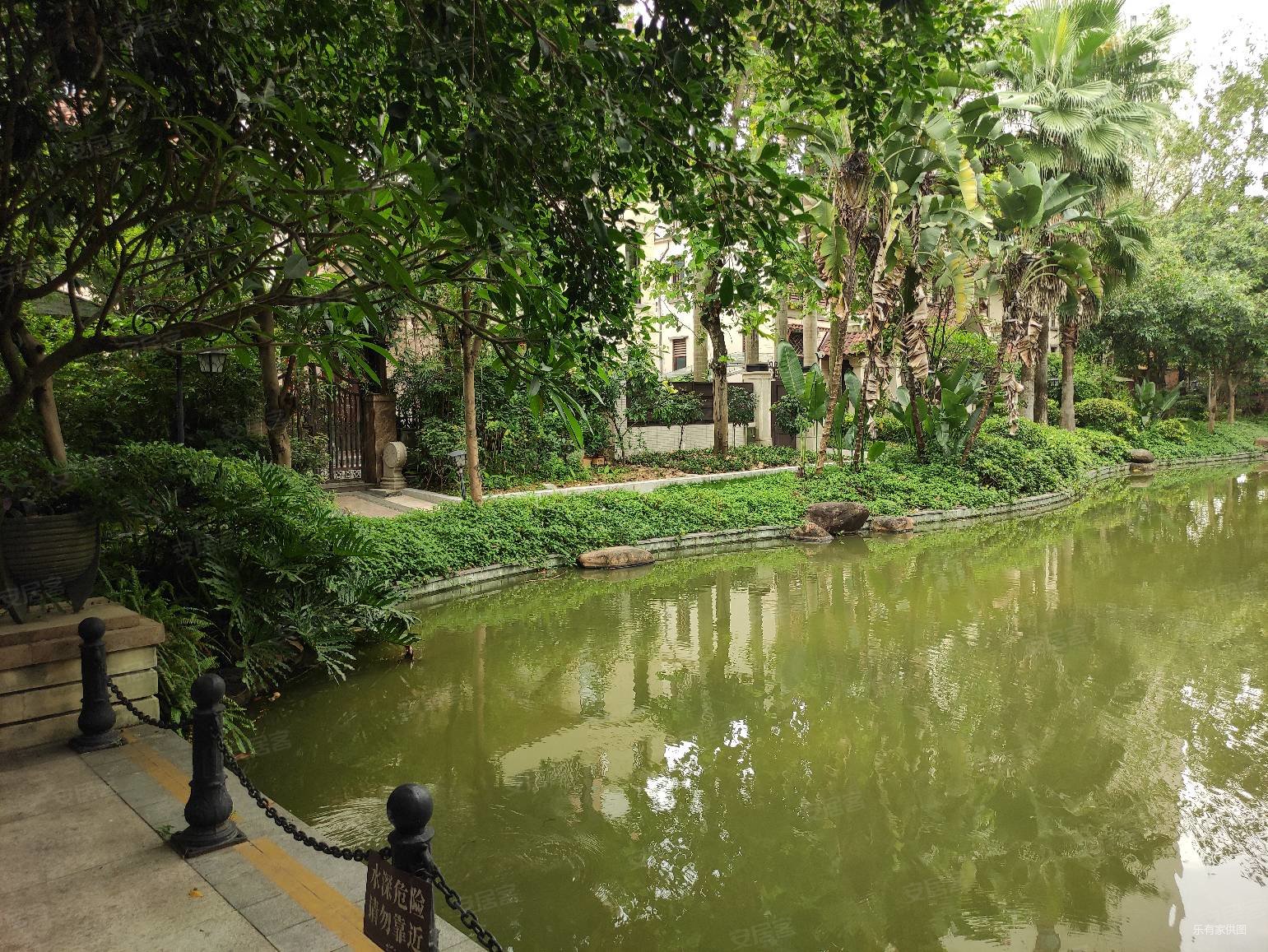 带前后花园 龙光别墅次新小区 交通便利近地铁 滨实书孢,龙光棕榈水岸